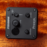 Breedlove Discovery S Concertina Edgeburst CE — Red cedar DSCA44CERCAM