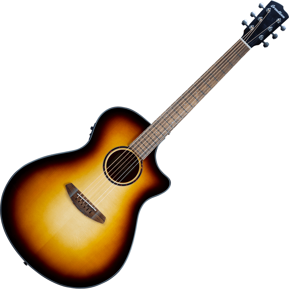 Breedlove store discovery concerto