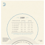 D'Addario EJ60 5-String Banjo Strings, Light 9-20