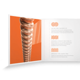 D'Addario XS Acoustic Phosphor Bronze, Extra Light, 10-47, XSAPB1047