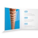 D'Addario XS 12-String Acoustic Phosphor Bronze, Light, 10-47, XSAPB1047-12