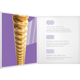 D'Addario XS Acoustic 80/20 Bronze, Custom Light, 11-52, XSABR1152