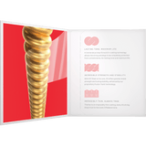 D'Addario XS Acoustic 80/20 Bronze, Medium, 13-56, XSABR1356