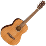 Fender FA-15 3/4-Scale Acoustic Guitar String w/Gig Bag – Walnut
