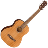 Fender FA-15 3/4-Scale Acoustic Guitar String w/Gig Bag – Walnut