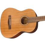 Fender FA-15 3/4-Scale Acoustic Guitar String w/Gig Bag – Walnut