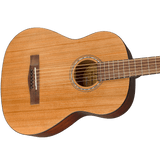 Fender FA-15 3/4-Scale Acoustic Guitar String w/Gig Bag – Walnut