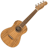 Fender Zuma Exotic Concert Ukulele — Spalted Maple