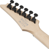Ibanez RG421DXTWS RG Standard Electric Guitar — Twilight Shade