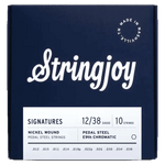 Stringjoy Signatures Pedal Steel E9th (12-38) Nickel Wound Strings