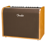 Fender Acoustic 100 Guitar Amplifier