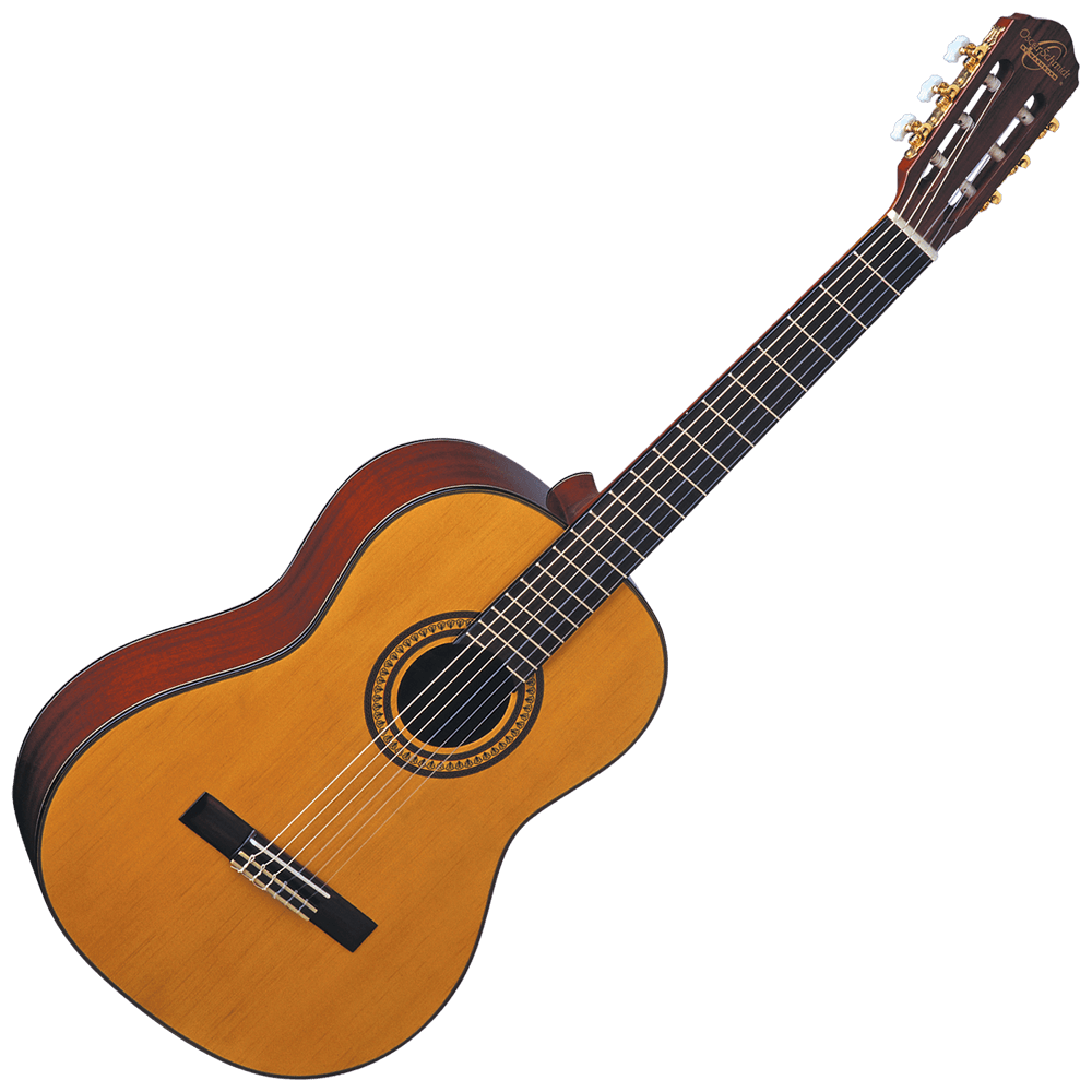 Oscar Schmidt OC11 Classical Nylon String Guitar Aliens And