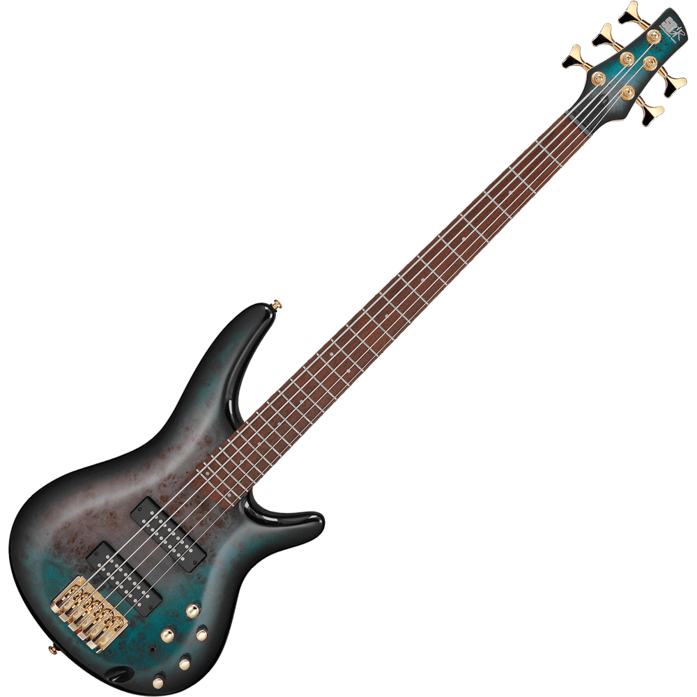 Electric Bass Guitars For Sale - Aliens & Strangers Music Store - Denver, CO